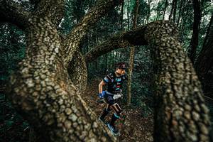 BIB: 
                            <button type="button" onclick="openModal(25393364)" class="btn btn-primary btn-sm float-right btn-popup" data-toggle="modal" data-target=".modal-high-quality">
                        <i class="fas fa-shopping-cart"></i> Add to Cart
                    </button>
                                            <button type="button" onclick="isThisMe(25393364, true)" class="btn btn-success btn-sm float-right btn-popup btn-isme hidden" data-toggle="tooltip" data-placement="bottom" title="นี่คือรูปของคุณใช่ไหม คลิกที่นี่เพื่อเอาเข้าอัลบั้ม">
                        <i class="fas fa-plus"></i> Add to album
                    </button>
                    <button type="button" onclick="isThisMe(25393364, false)" class="btn btn-warning btn-sm float-right btn-popup btn-isnotme hidden">
                        <i class="fas fa-ban"></i> Remove from album
                    </button>